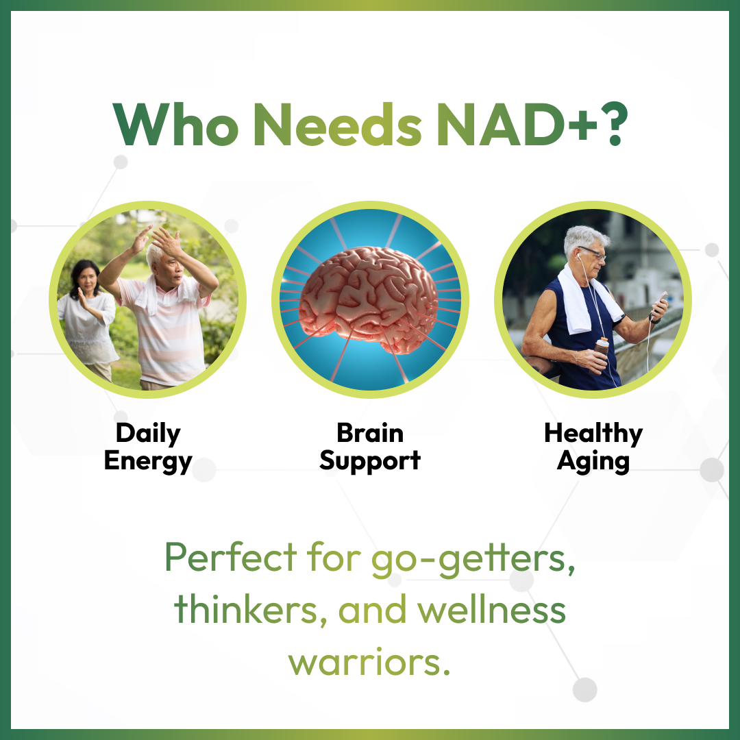 HAZEL'S Choice NAD+ Nicotinamide Adenine Dinucleotide Supplement 500mg, 60 Capsules, Supports Cellular Energy & Metabolic Function