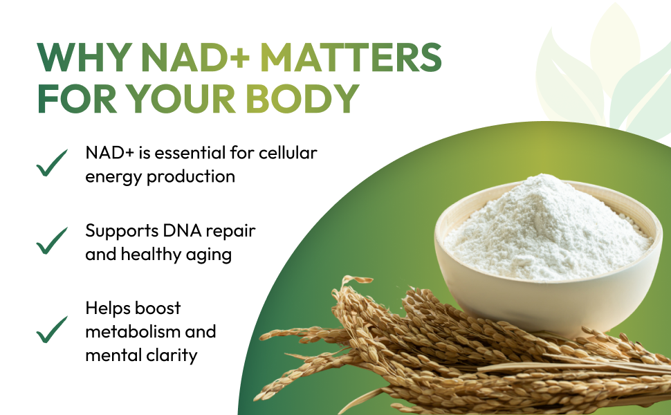 HAZEL'S Choice NAD+ Nicotinamide Adenine Dinucleotide Supplement 500mg, 60 Capsules, Supports Cellular Energy & Metabolic Function