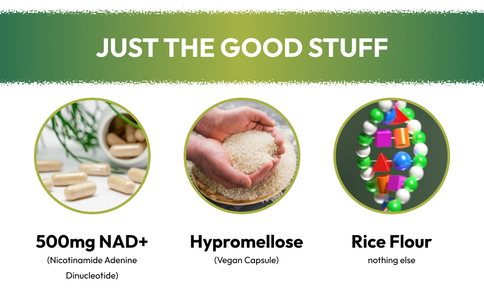 HAZEL'S Choice NAD+ Nicotinamide Adenine Dinucleotide Supplement 500mg, 60 Capsules, Supports Cellular Energy & Metabolic Function