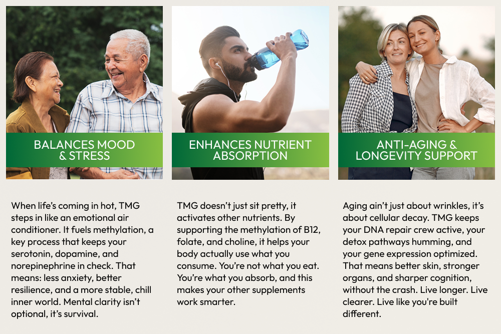 TMG trimethylglycine 1000mg Supplement, 180 Capsules, Non-GMO, Gluten-Free, Supports Daily Wellness Routine