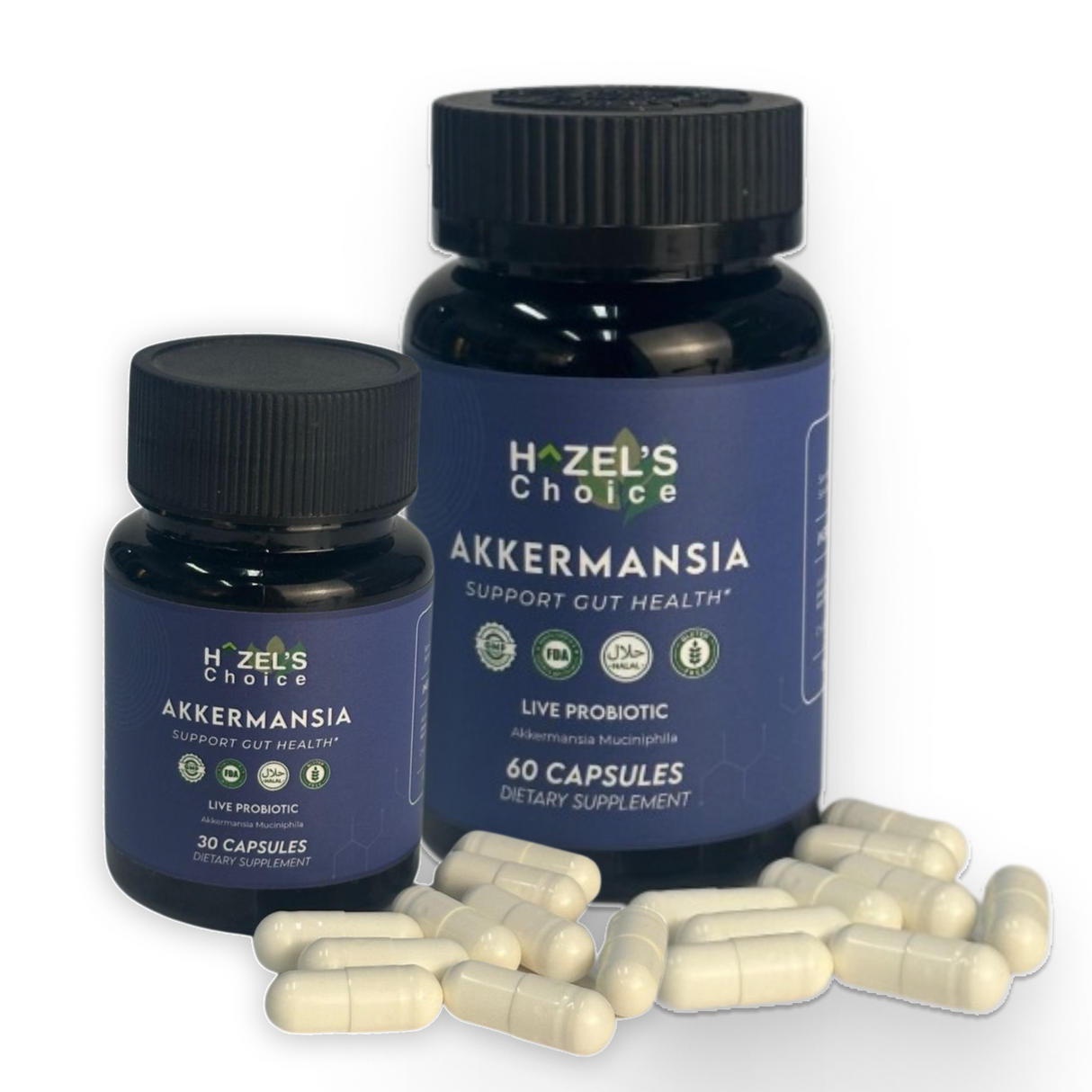 HAZEL'S Choice Akkermansia Probiotic Supplement (30 Count (Pack of 1))