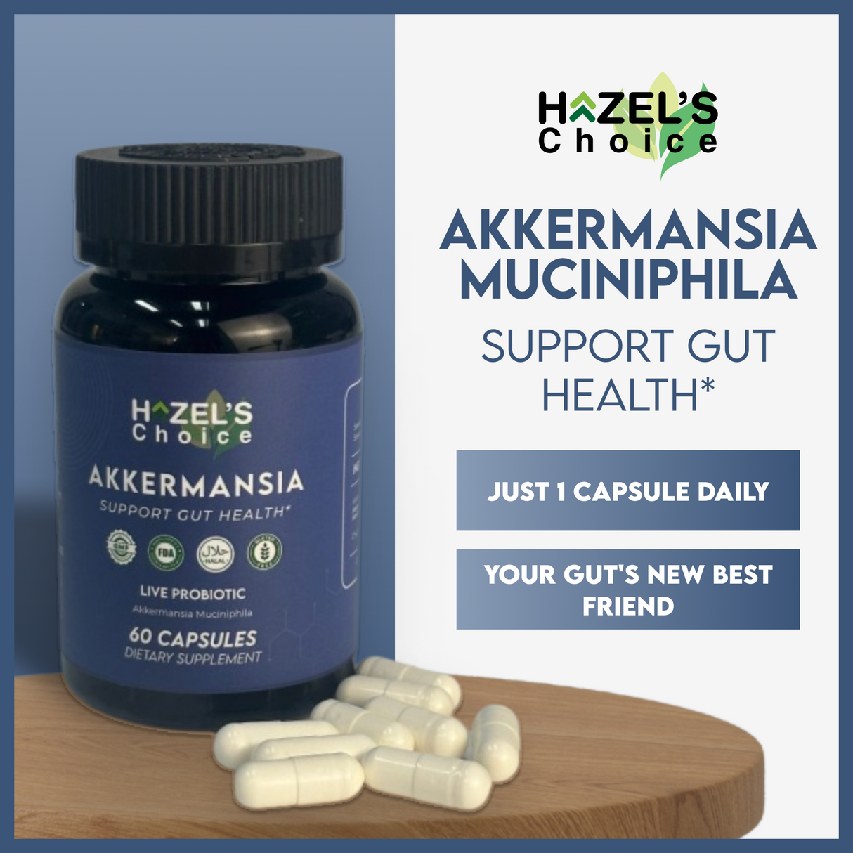 HAZEL'S Choice Akkermansia Probiotic Supplement (30 Count (Pack of 1))