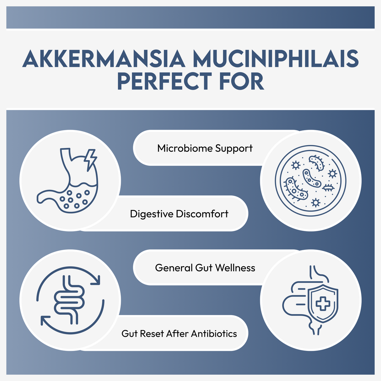 HAZEL'S Choice Akkermansia Probiotic Supplement (30 Count (Pack of 1))