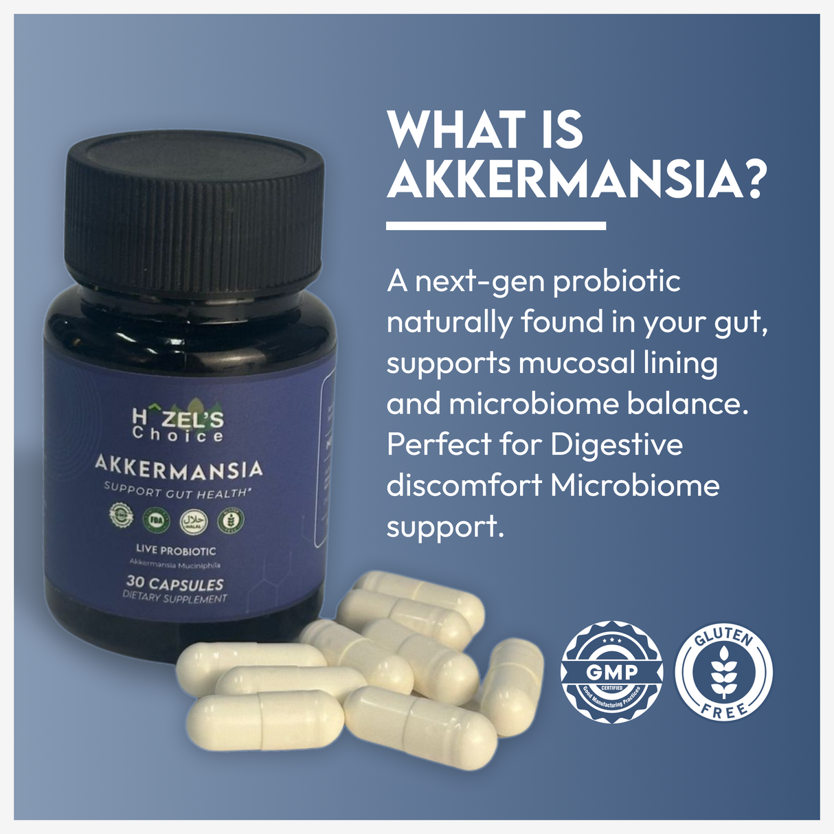 HAZEL'S Choice Akkermansia Probiotic Supplement (30 Count (Pack of 1))