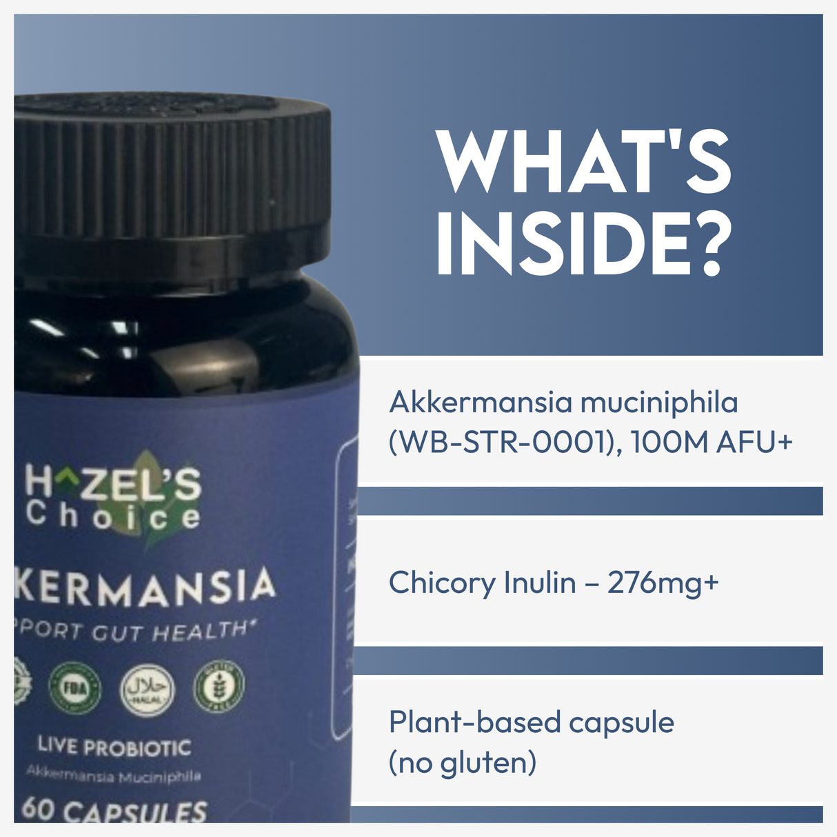 HAZEL'S Choice Akkermansia Probiotic Supplement (30 Count (Pack of 1))