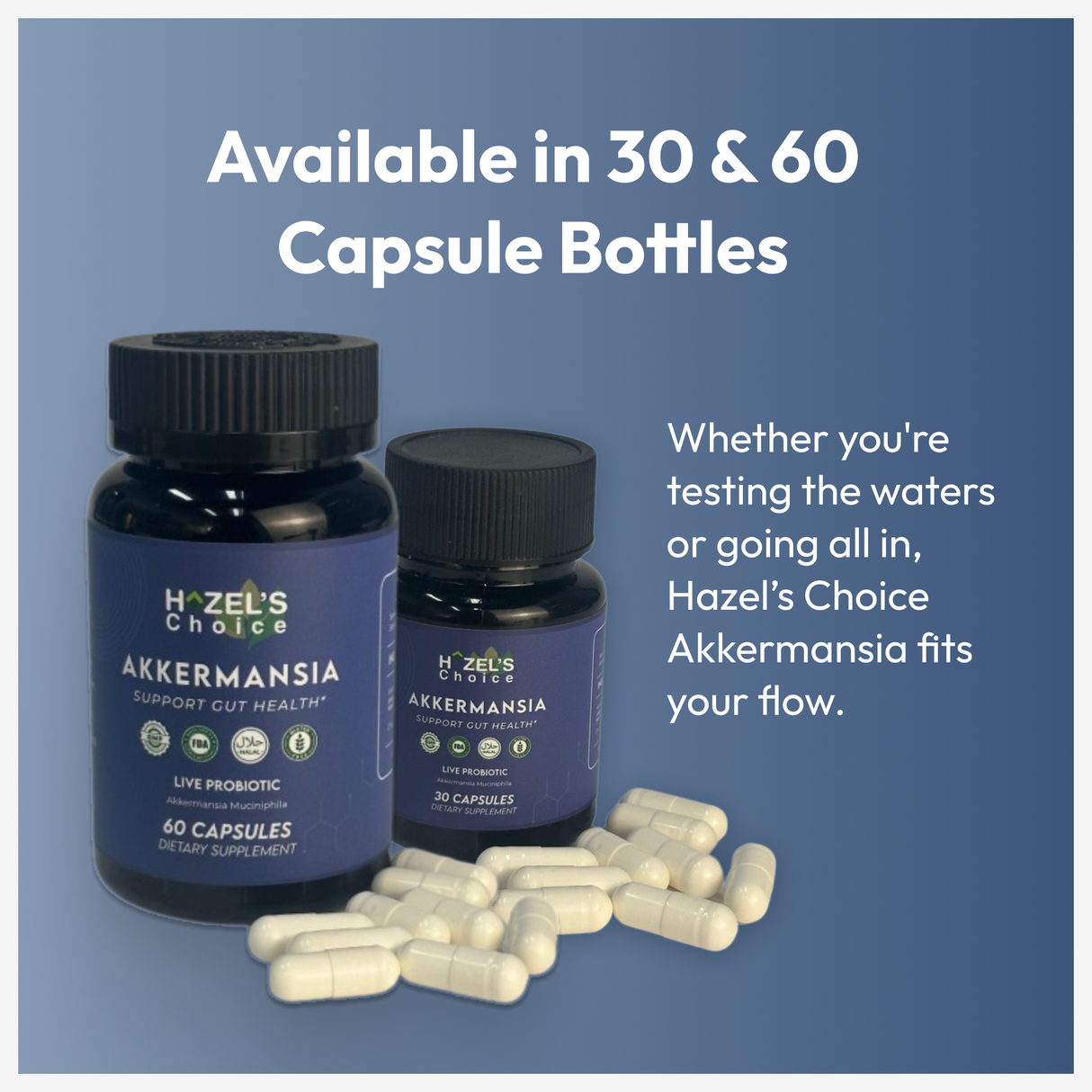 HAZEL'S Choice Akkermansia Probiotic Supplement (30 Count (Pack of 1))