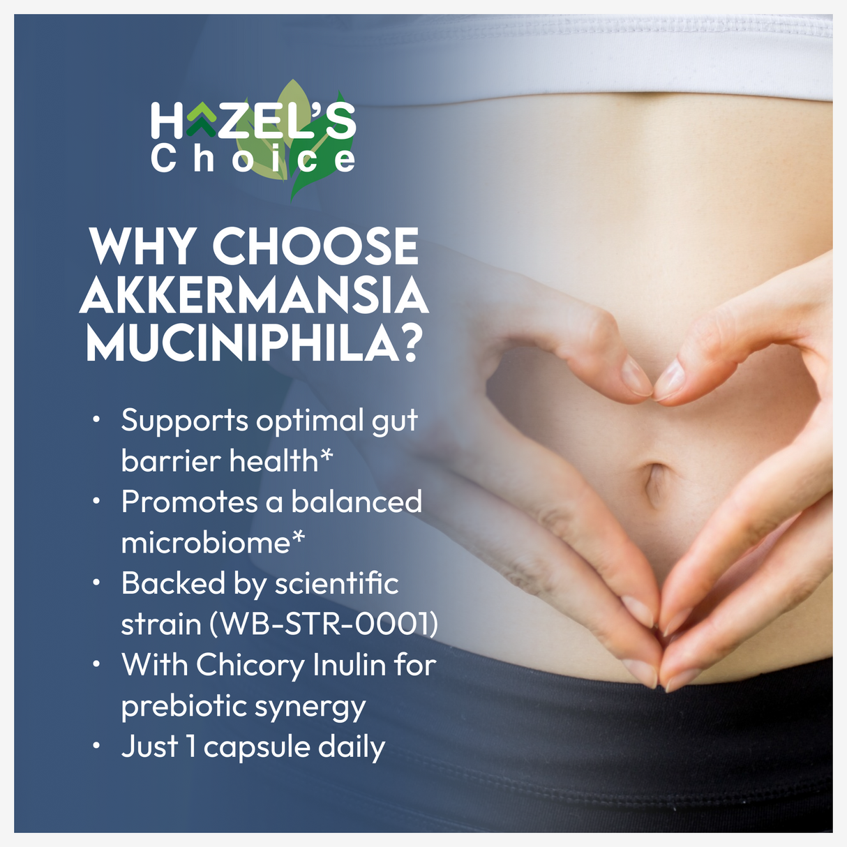 HAZEL'S Choice Akkermansia Probiotic Supplement (30 Count (Pack of 1))
